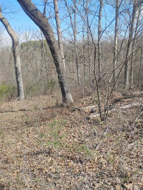 Tiny photo for 13790 E Sunrise Lakes Drive, De Soto, MO 63020 (MLS # 26030548)