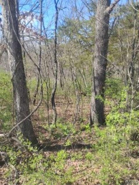 Tiny photo for 13790 E Sunrise Lakes Drive, De Soto, MO 63020 (MLS # 26030548)