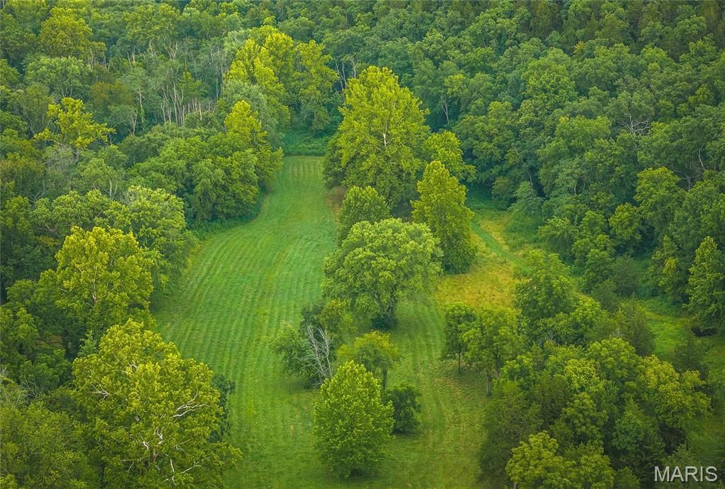 Photo of 0 County Road 7250, Newburg, MO 65550 (MLS # 26004399)