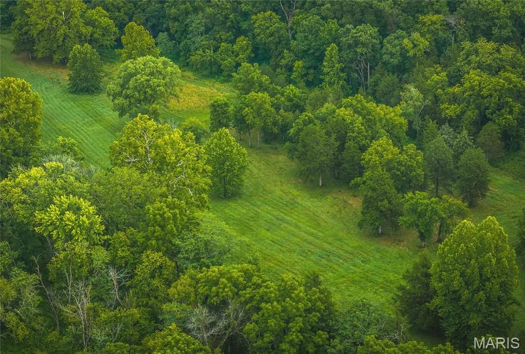 Photo of 0 County Road 7250, Newburg, MO 65550 (MLS # 26004399)