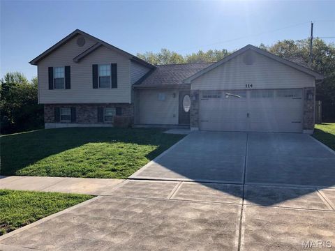Photo of 114 Prairie Bluffs Drive, Wentzville, MO 63385 (MLS # 26004652)