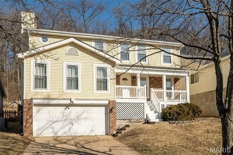 Photo of 461 Elm Crossing Court, Ballwin, MO 63021 (MLS # 26008779)