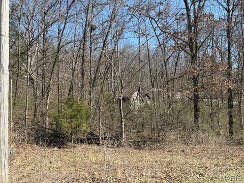 Tiny photo for 40 Winding Lane, Troy, MO 63379 (MLS # 26014730)