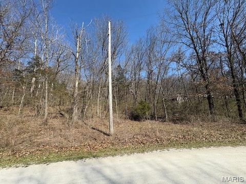 Tiny photo for 40 Winding Lane, Troy, MO 63379 (MLS # 26014730)