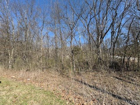 Tiny photo for 40 Winding Lane, Troy, MO 63379 (MLS # 26014730)