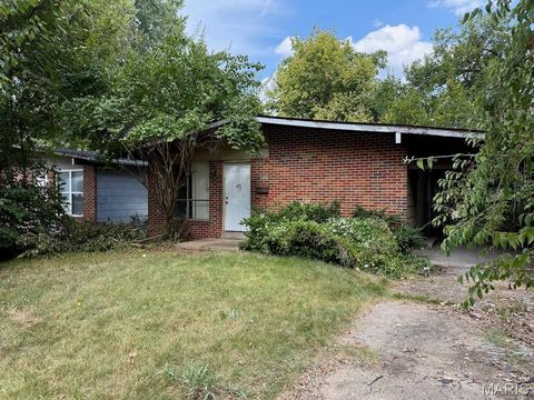 Photo of 10408 Prince Drive, Unincorporated, MO 63136 (MLS # 25082222)