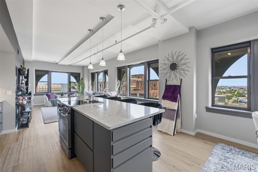 Syndicate Bldg Condos Suppleme - Residential