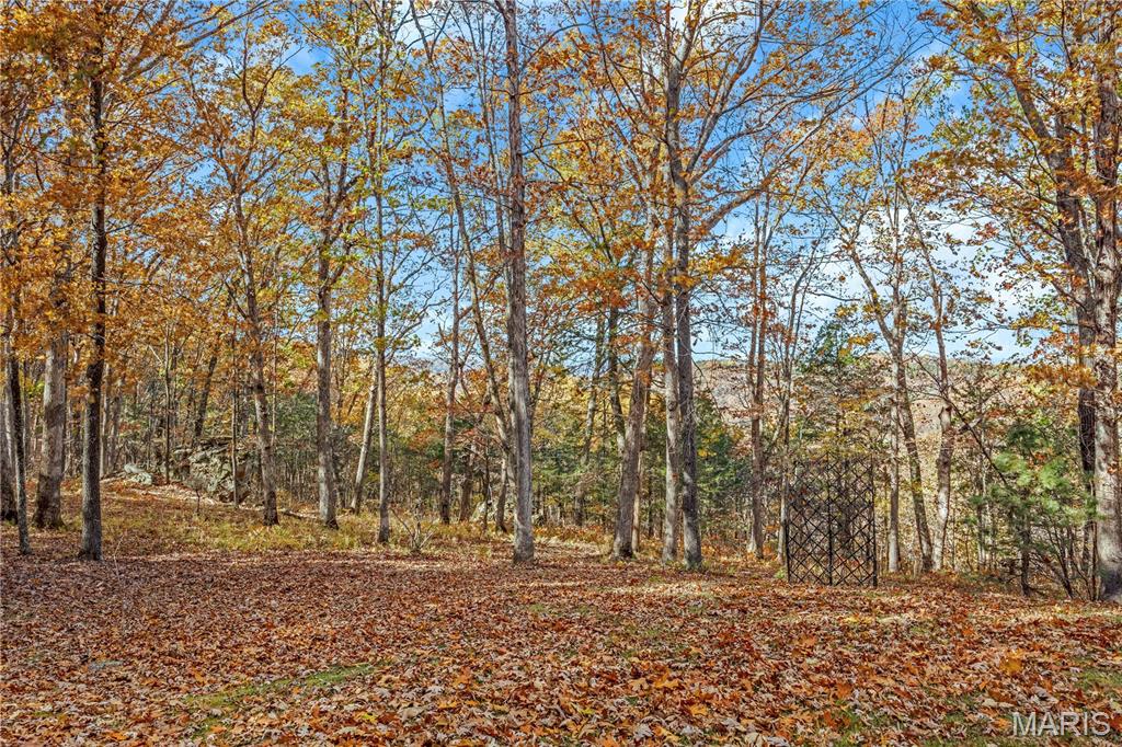 Black Forest Sub - Residential