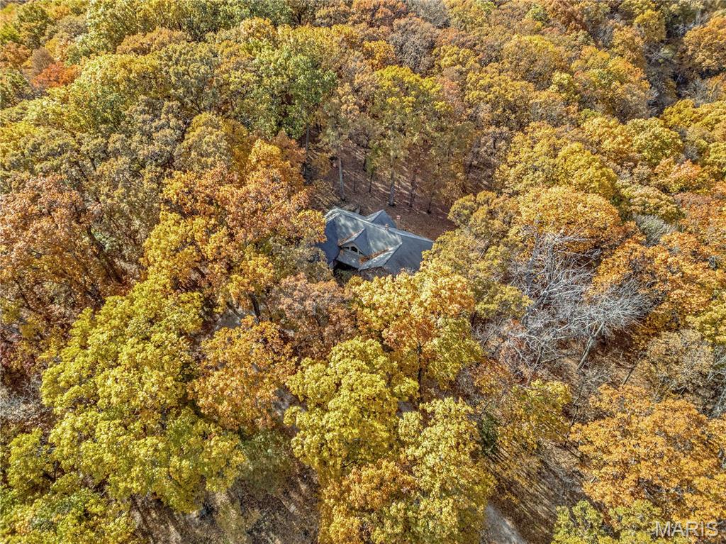 Black Forest Sub - Residential