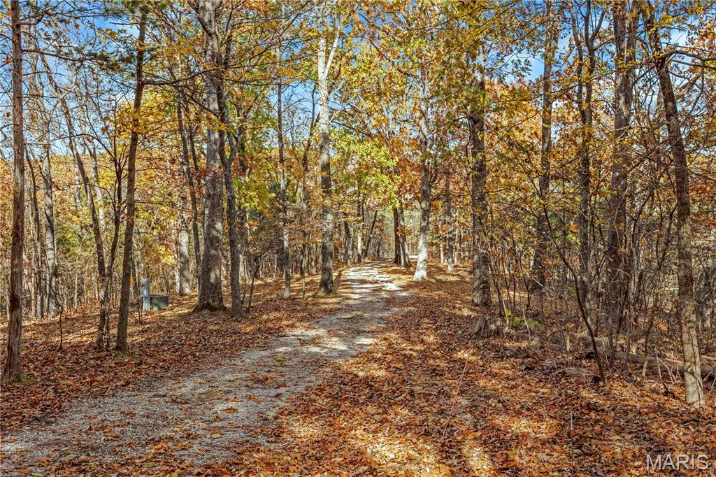 Black Forest Sub - Residential