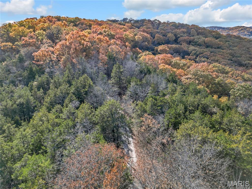 Black Forest Sub - Residential