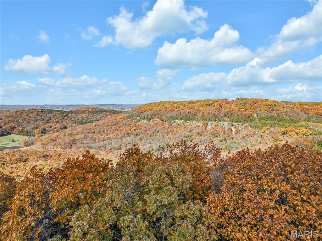 Black Forest Sub - Residential