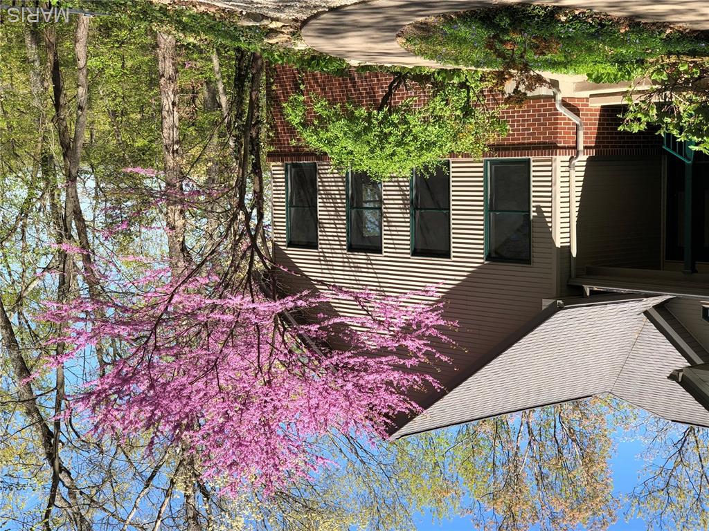 Black Forest Sub - Residential