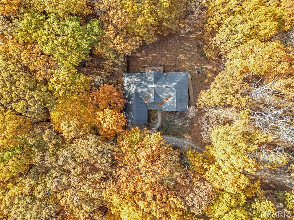 Black Forest Sub - Residential