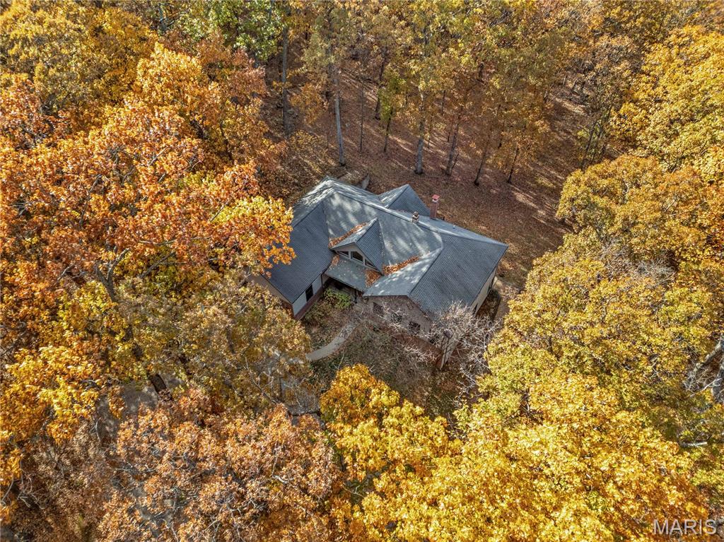 Black Forest Sub - Residential