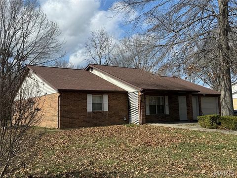 117 Clarence Drive Red Bud IL 62278