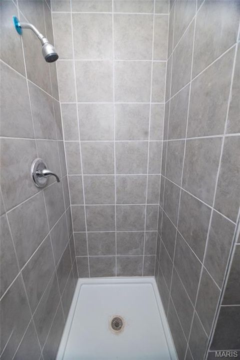 Tiny photo for 3718 Louisiana Avenue, St Louis, MO 63118 (MLS # 25083017)