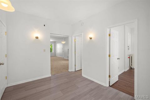Tiny photo for 3850 Detonty Street, St Louis, MO 63110 (MLS # 26017431)