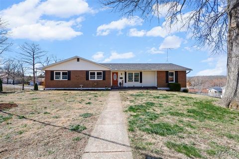 Photo of 518 N 12th Street, De Soto, MO 63020 (MLS # 26010798)