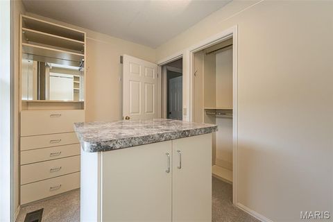 Tiny photo for 15166 Chamisal Drive, Chesterfield, MO 63017 (MLS # 25071891)