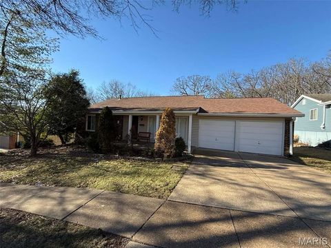 Photo of 747 La Feil Drive, Manchester, MO 63021 (MLS # 26001901)