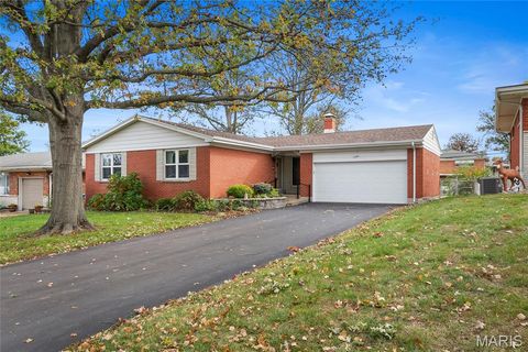 Photo of 3700 Andora Place, St Louis, MO 63125 (MLS # 25074265)