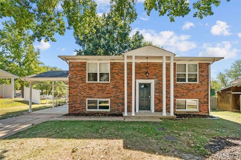 1564 Codorniz Lane Unincorporated MO 63026