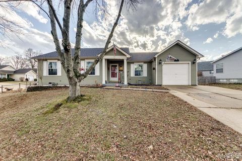 2831 Plum Leaf Circle St Peters MO 63303