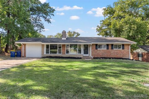Photo of 8 Montauk Court, St Louis, MO 63146 (MLS # 25070003)