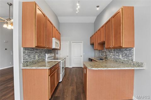 Tiny photo for 149 Chesapeake Trace, Wentzville, MO 63385 (MLS # 26010444)