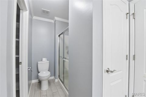 Tiny photo for 149 Chesapeake Trace, Wentzville, MO 63385 (MLS # 26010444)