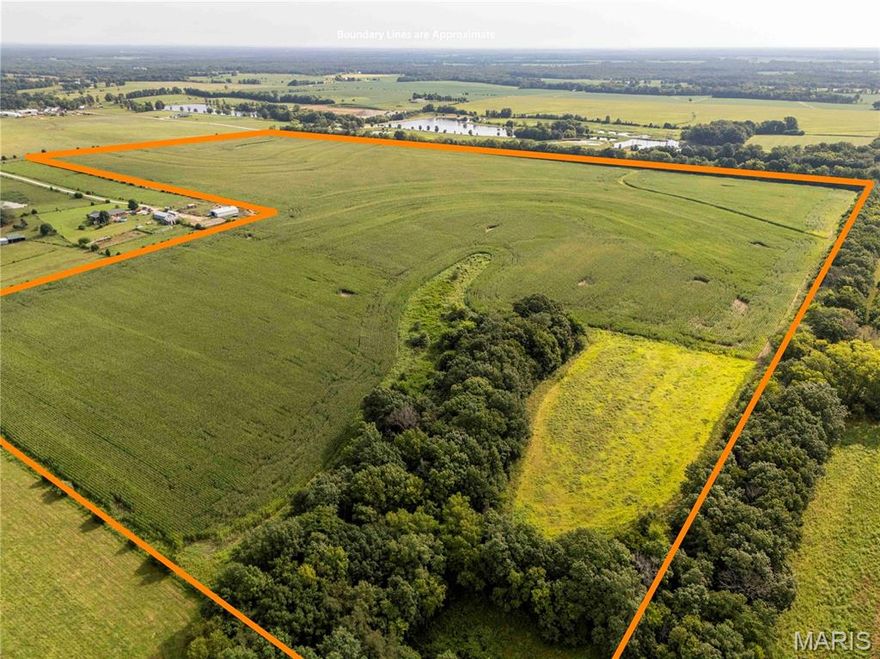 AUCTION LISTING - List price is not indicative of Seller’s final reserve amount.  This property is part of an online bidding event.  This sale will be executed with a no-contingency contract provided by brokerage representing the Seller. See MLS Supplement Document for complete details. These 101± flat to gently rolling acres are conveniently located 8 miles north of Jonesburg and approximately 15 miles east of Montgomery City on Highway JJ. There are approximately 93 acres of highly productive cropland with soils consisting mostly of Mexico and Armster silt loams. The balance of the land consists of a wooded draw offering excellent hunting opportunities. The farmland will sell free of any tenants or leases for the 2026 crop season.