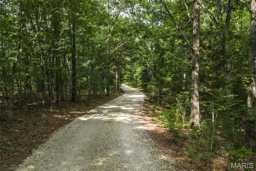 956 Rustling Oaks Lane