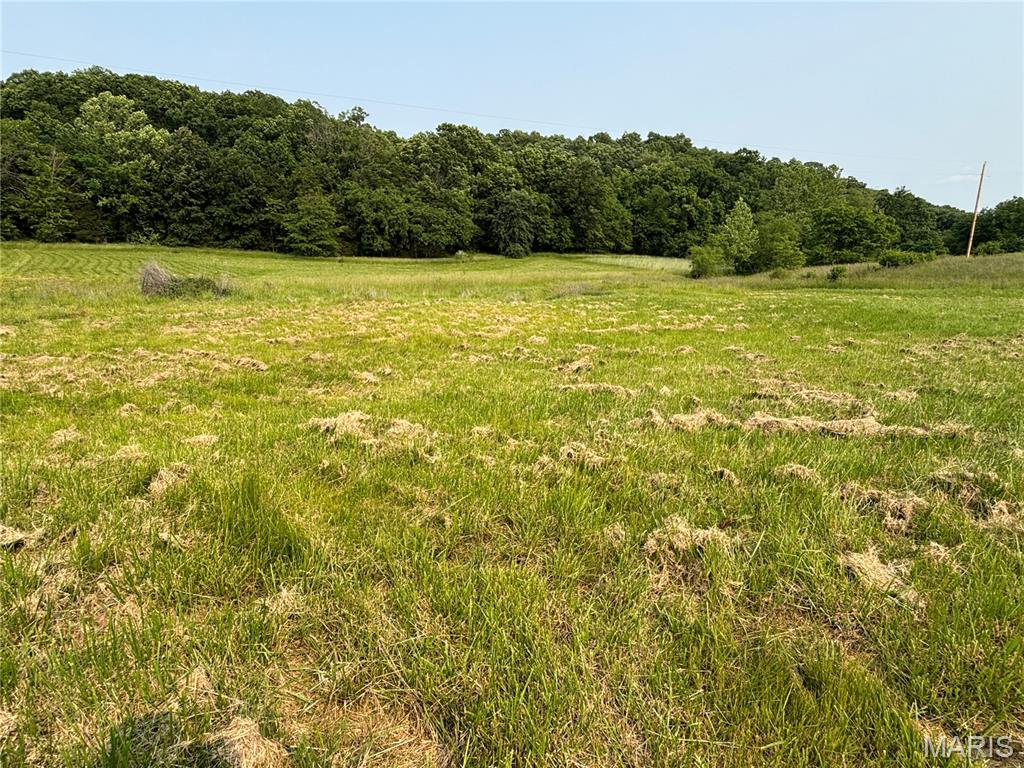 Troy, Missouri 63379, United States, ,Land,Active,77258