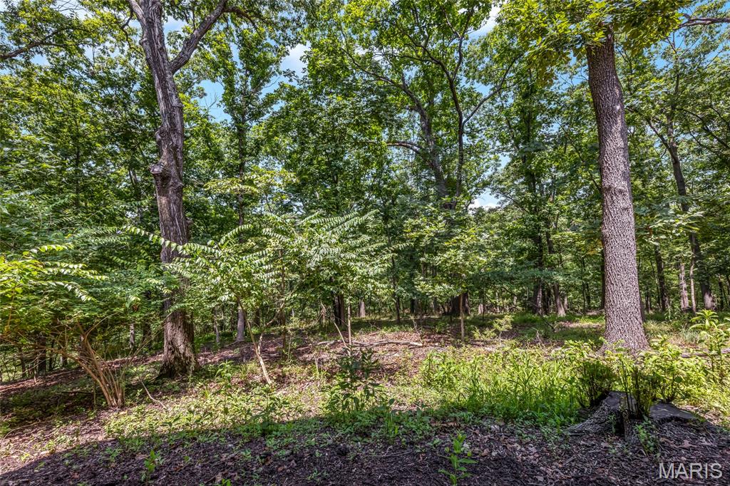 Grover, Missouri 63040, United States, ,Residential,Coming Soon,165385