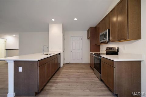 Tiny photo for 28 Shady Elm Court, St Charles, MO 63301 (MLS # 26019099)