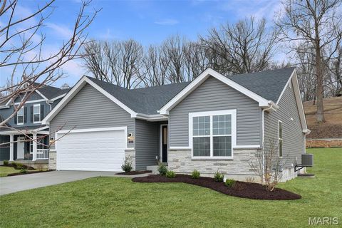 Photo of 28 Shady Elm Court, St Charles, MO 63301 (MLS # 26019099)