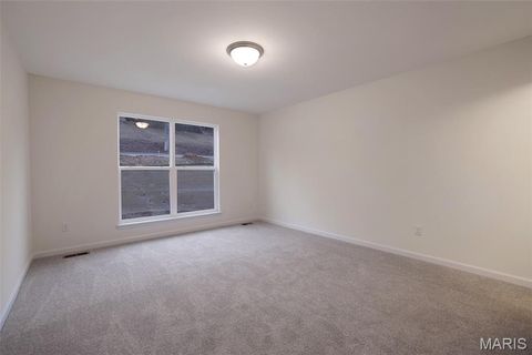 Tiny photo for 28 Shady Elm Court, St Charles, MO 63301 (MLS # 26019099)