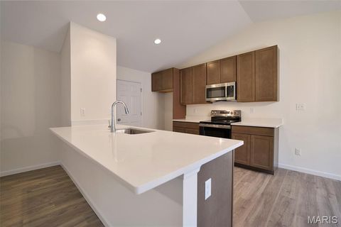 Tiny photo for 28 Shady Elm Court, St Charles, MO 63301 (MLS # 26019099)