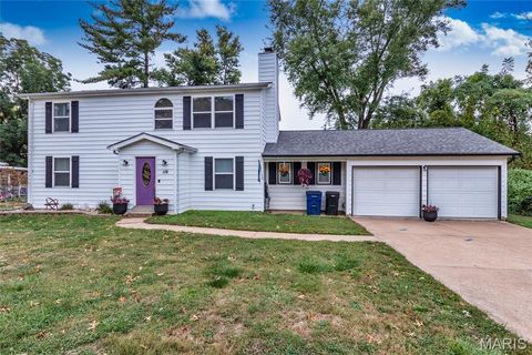 116 Pioneer Drive Oakville MO 63129