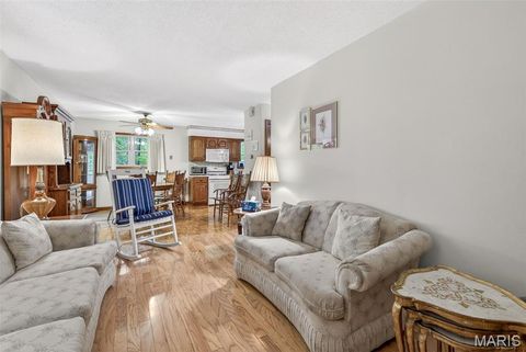 Tiny photo for 10952 Quail Drive, Ste Genevieve, MO 63670 (MLS # 26026591)