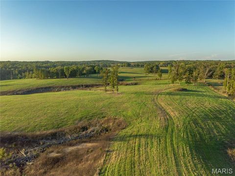 Tiny photo for 18348 Dixon Road, Licking, MO 65542 (MLS # 25068446)