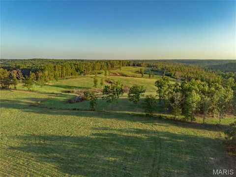 Tiny photo for 18348 Dixon Road, Licking, MO 65542 (MLS # 25068446)