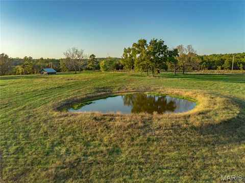 Tiny photo for 18348 Dixon Road, Licking, MO 65542 (MLS # 25068446)