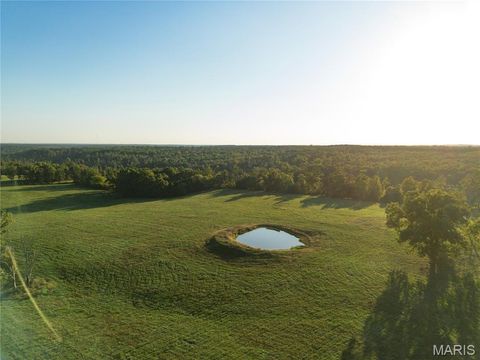 Photo of 18348 Dixon Road, Licking, MO 65542 (MLS # 25068446)
