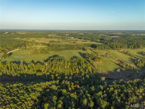 Tiny photo for 18348 Dixon Road, Licking, MO 65542 (MLS # 25068446)