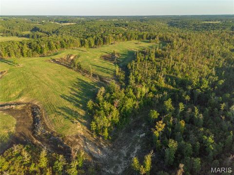 Tiny photo for 18348 Dixon Road, Licking, MO 65542 (MLS # 25068446)