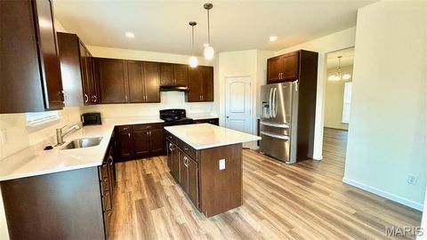 Tiny photo for 714 Switchgrass Drive, Wentzville, MO 63385 (MLS # 26008836)