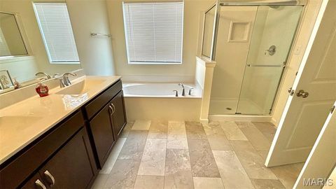 Tiny photo for 714 Switchgrass Drive, Wentzville, MO 63385 (MLS # 26008836)