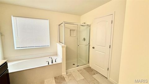 Tiny photo for 714 Switchgrass Drive, Wentzville, MO 63385 (MLS # 26008836)